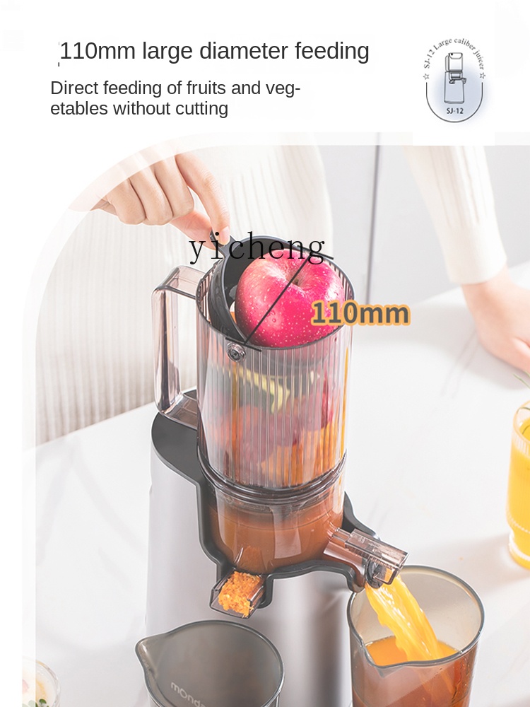 cc28 Meyve Sıkacağı Otomatik P - Juicer incelemesi ve fiyatı